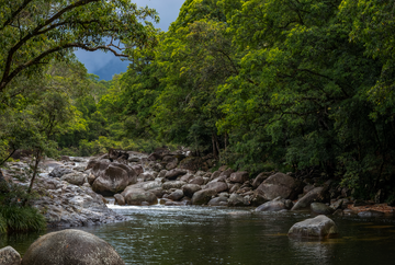 Mossman Gorge - Far North Queensland