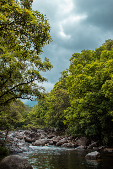 Mossman Gorge - Far North Queensland