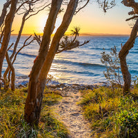 NOOSA SUNSET