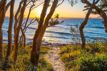 NOOSA SUNSET