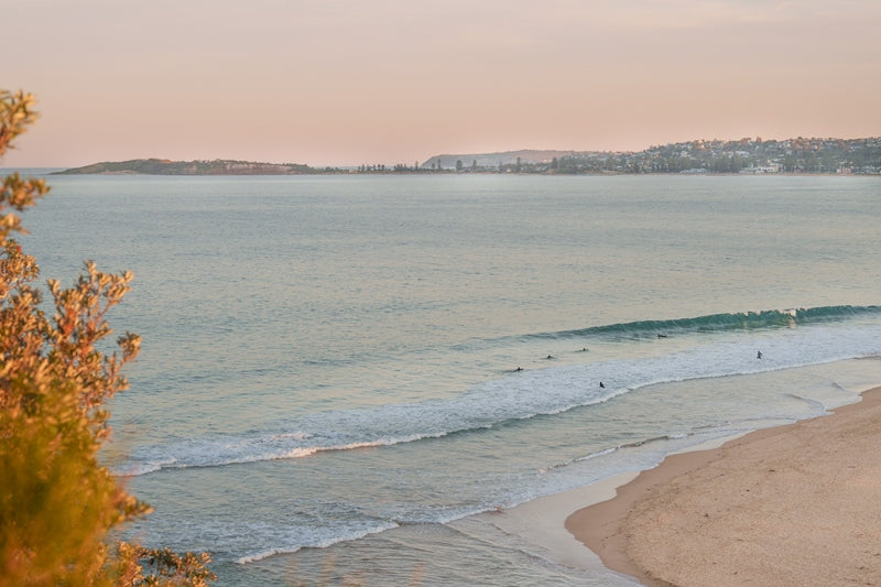 NTH NARRABEEN | LAST LIGHT