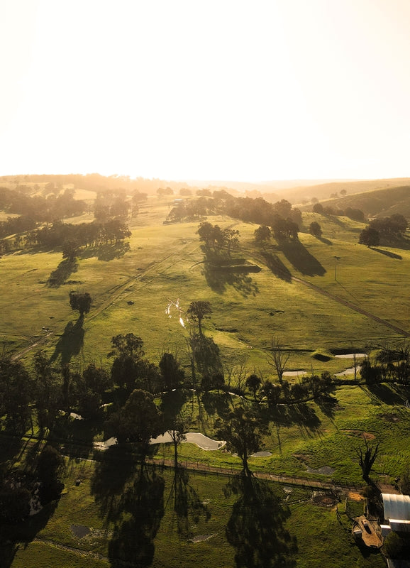 Nannup Mornings (Western Australia) - 1