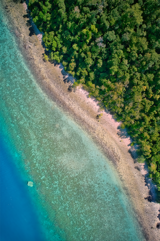 Ocean Meets The Daintree Rainforest - Far North Queensland