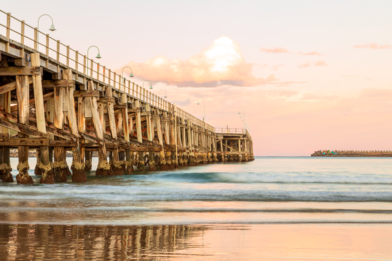 Peachy - Jetty Beach, Coffs Harbour, NSW - 1