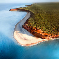 Shark Bay - 1