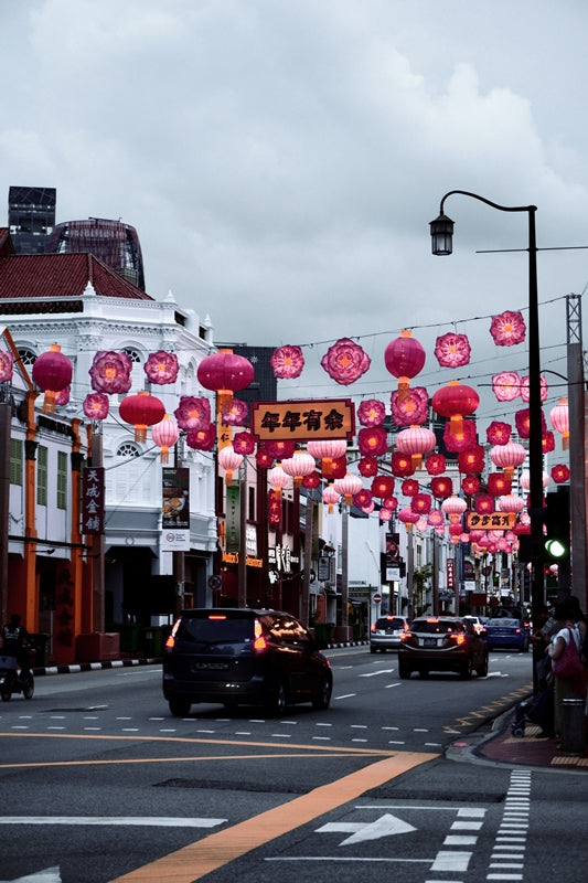 Singapore Chinatown - 1