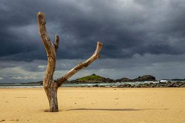 Stranded - Sawtell NSW