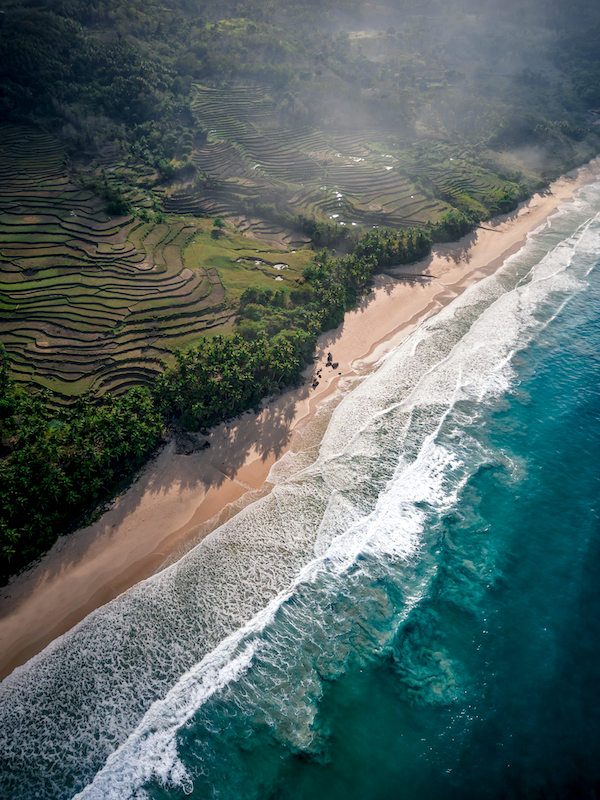 Sumba Rice Terraces - Portrait