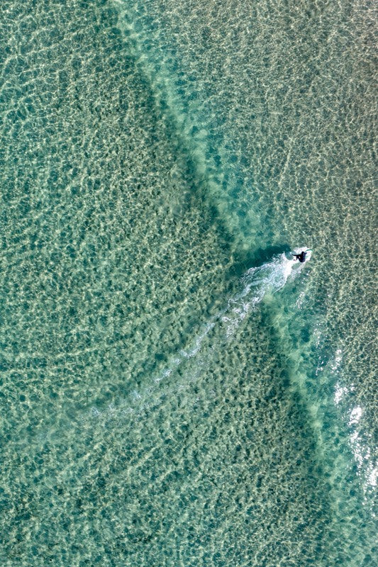 Bondi Beach Surfer - 1