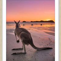 Cape Hillsborough Mackay - 4