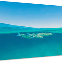Bora Bora Waters