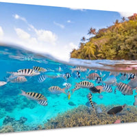Tahiti Aquarium