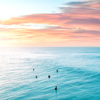 A Surfers View Landscape