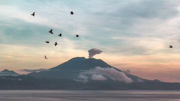 Agung