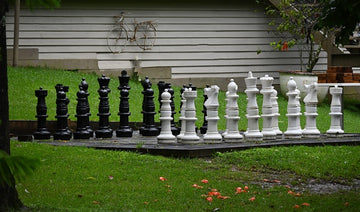 Anyone for chess