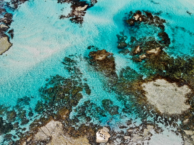 Aqua Palette