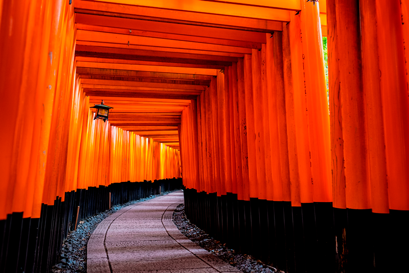 A walk through the Torii gates in the Kinki Region, Japan