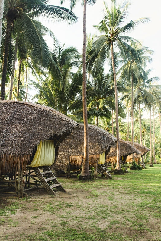 Bamboo Huts | Phillipines