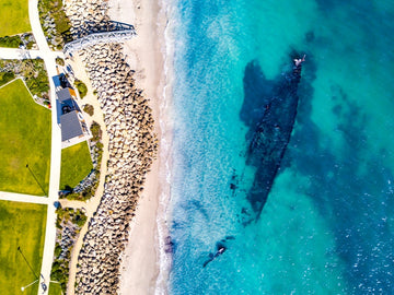 Beached Wreck