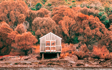 Boat Shed