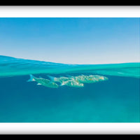 Bora Bora Waters