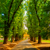 Botanic Gardens, Melbourne