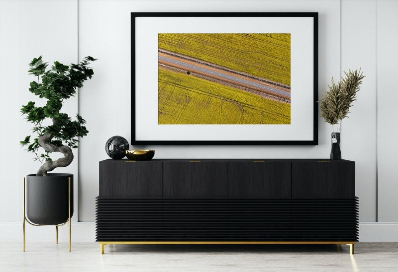 Canola Fields