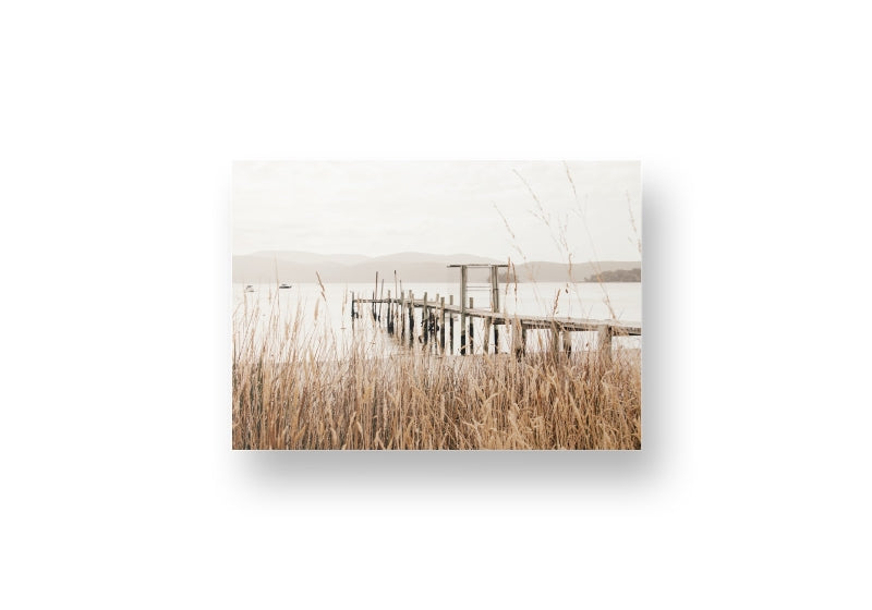 Port Arthur Reeds