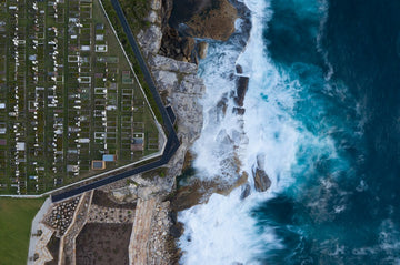 Coastal Walk