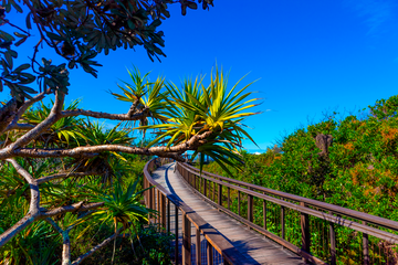 Coolum Boardwalk, Sunshine Coast