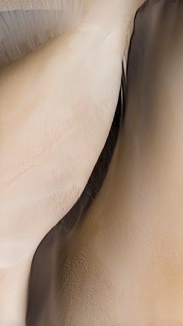 Dunes