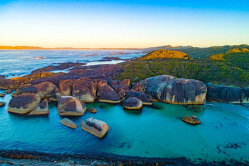 Elephant Sunrise