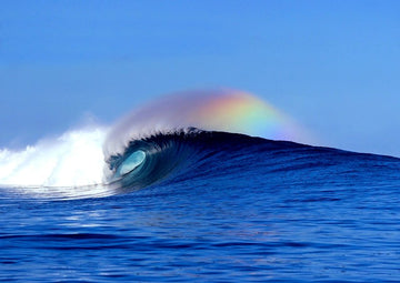 Fiji Wave Spotlight