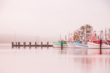 Fishing Trawlers