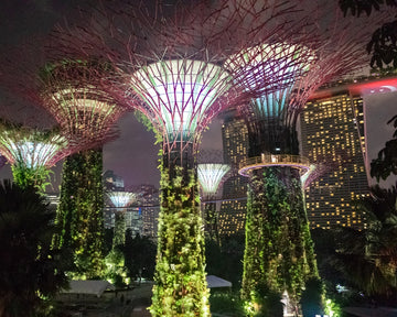 Gardens by the Bay - Singapore