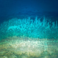 Gili Air Corals