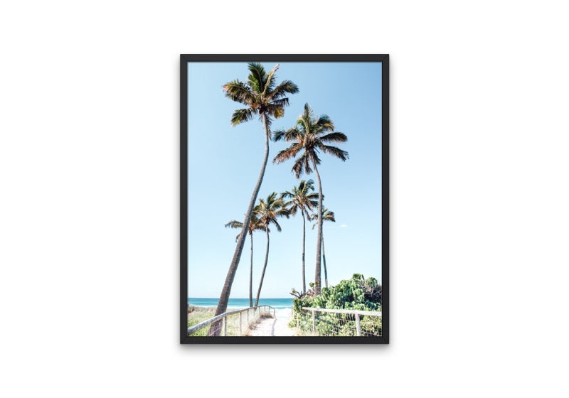 Gold Coast Palms