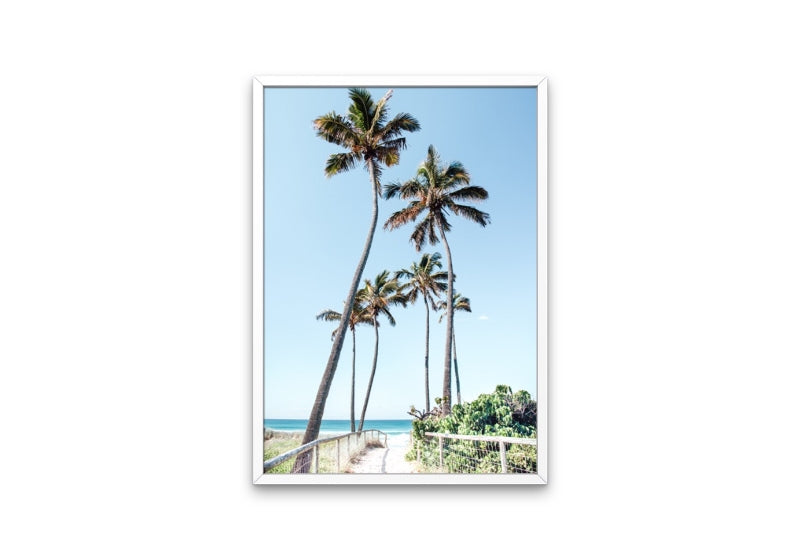 Gold Coast Palms