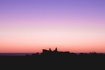Gradient Dreams
