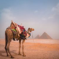 Giza Pyramids - Egypt