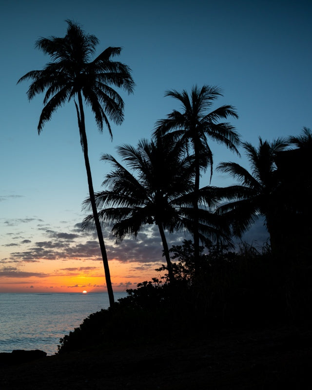 Hawaii Sunrise Silhouette