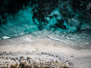 Icey Blue