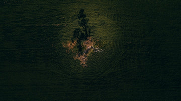 Isolation