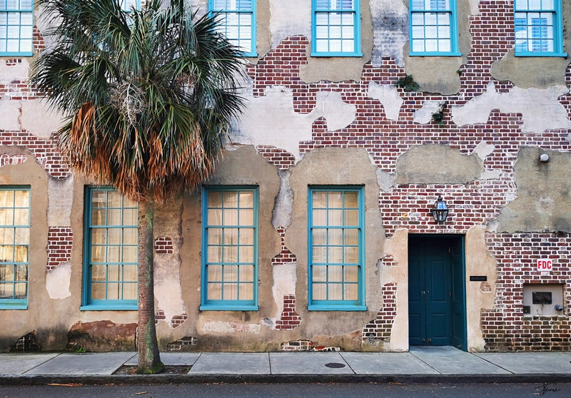 Charleston Palm USA