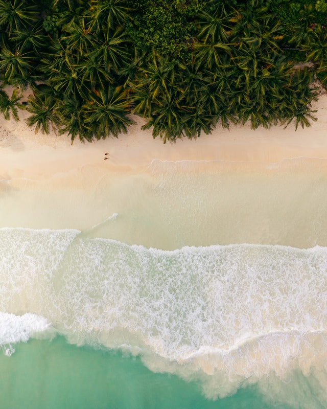 Jungle Beach Walk