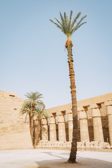 Karnak Temple - Egypt