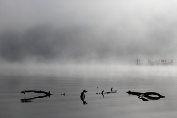Lake St Clair
