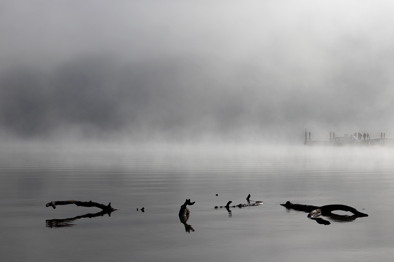 Lake St Clair