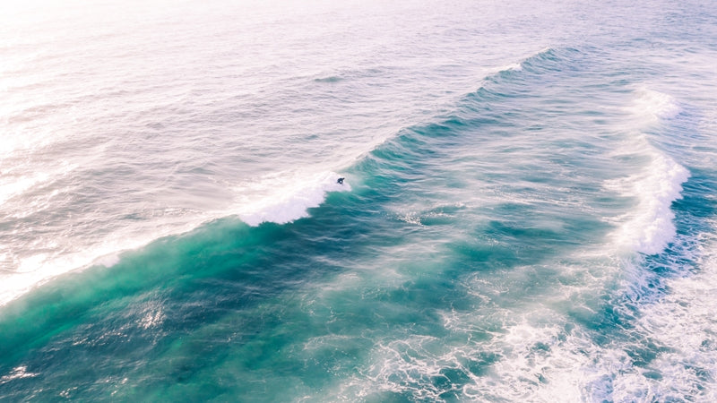 Life is a Wave