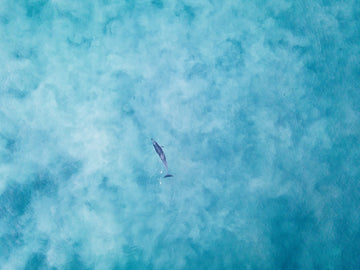Lost in paradise - Mettams Pool Western Australia